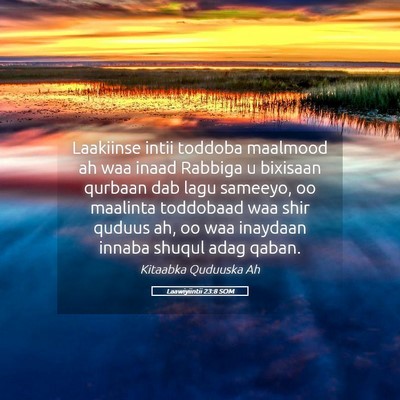 Picture 05 - Laawiyiintii 23:8 SOM - Laakiinse intii toddoba maalmood ah waa inaad - Bible Verse Picture
