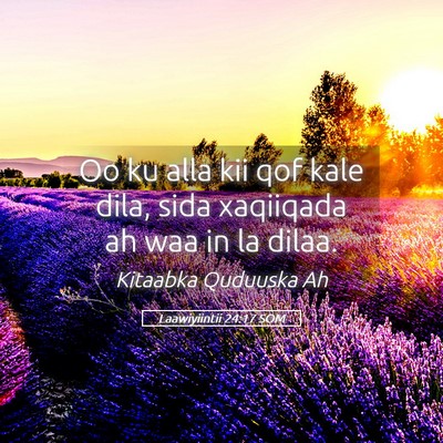 Picture 05 - Laawiyiintii 24:17 SOM - Oo ku alla kii qof kale dila, sida xaqiiqada ah - Bible Verse Picture