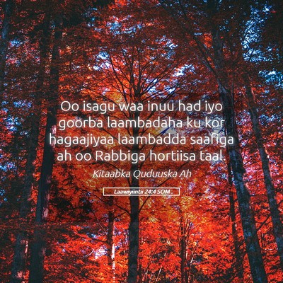 Picture 05 - Laawiyiintii 24:4 SOM - Oo isagu waa inuu had iyo goorba laambadaha ku - Bible Verse Picture