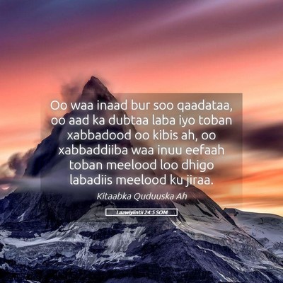 Picture 05 - Laawiyiintii 24:5 SOM - Oo waa inaad bur soo qaadataa, oo aad ka dubtaa - Bible Verse Picture