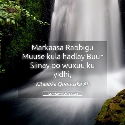 Picture 05 - Laawiyiintii 25:1 SOM - Markaasa Rabbigu Muuse kula hadlay Buur Siinay oo - Bible Verse Picture