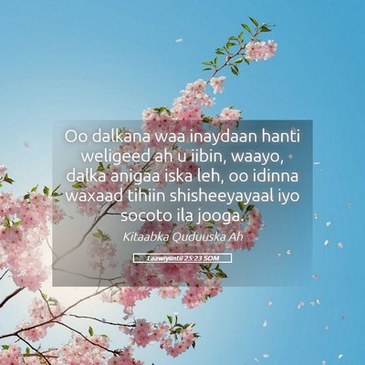 Picture 05 - Laawiyiintii 25:23 SOM - Oo dalkana waa inaydaan hanti weligeed ah u - Bible Verse Picture
