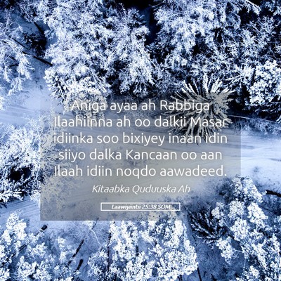 Picture 05 - Laawiyiintii 25:38 SOM - Aniga ayaa ah Rabbiga Ilaahiinna ah oo dalkii - Bible Verse Picture