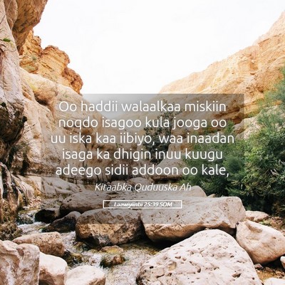 Picture 05 - Laawiyiintii 25:39 SOM - Oo haddii walaalkaa miskiin noqdo isagoo kula - Bible Verse Picture