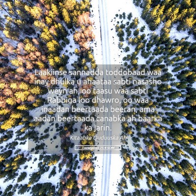 Picture 05 - Laawiyiintii 25:4 SOM - Laakiinse sannadda toddobaad waa inay dhulka u - Bible Verse Picture