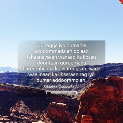 Picture 05 - Laawiyiintii 25:44 SOM - Oo ragga iyo dumarka addoommada ah oo aad - Bible Verse Picture