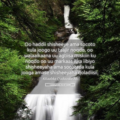 Picture 05 - Laawiyiintii 25:47 SOM - Oo haddii shisheeye ama socoto kula joogo uu - Bible Verse Picture