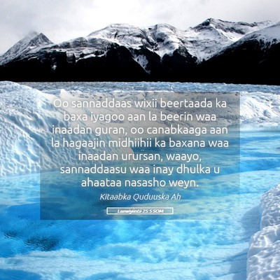 Picture 05 - Laawiyiintii 25:5 SOM - Oo sannaddaas wixii beertaada ka baxa iyagoo aan - Bible Verse Picture