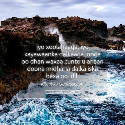Picture 05 - Laawiyiintii 25:7 SOM - iyo xoolahaaga, iyo xayawaanka dalkaaga jooga oo - Bible Verse Picture