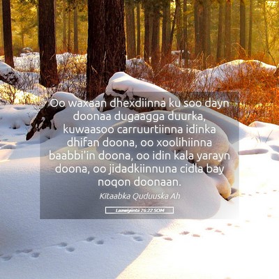 Picture 05 - Laawiyiintii 26:22 SOM - Oo waxaan dhexdiinna ku soo dayn doonaa dugaagga - Bible Verse Picture