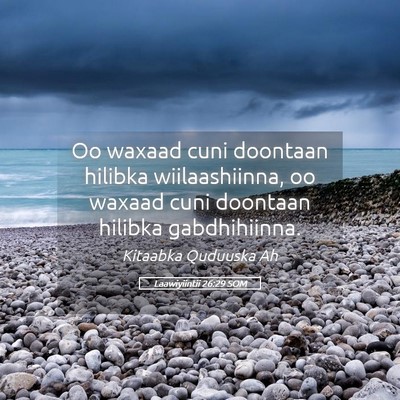 Picture 05 - Laawiyiintii 26:29 SOM - Oo waxaad cuni doontaan hilibka wiilaashiinna, oo - Bible Verse Picture