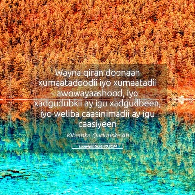 Picture 05 - Laawiyiintii 26:40 SOM - Wayna qiran doonaan xumaatadoodii iyo xumaatadii - Bible Verse Picture