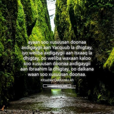 Picture 05 - Laawiyiintii 26:42 SOM - ayaan soo xusuusan doonaa axdigaygii aan Yacquub - Bible Verse Picture