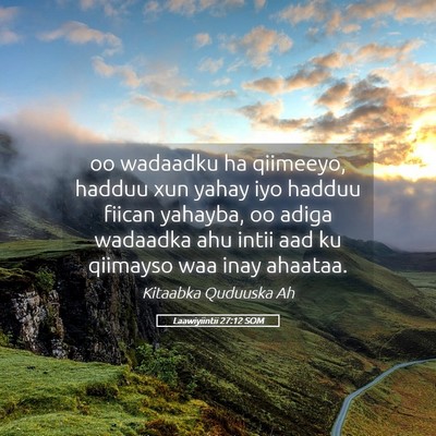 Picture 05 - Laawiyiintii 27:12 SOM - oo wadaadku ha qiimeeyo, hadduu xun yahay iyo - Bible Verse Picture