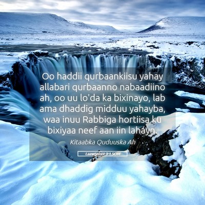 Picture 05 - Laawiyiintii 3:1 SOM - Oo haddii qurbaankiisu yahay allabari qurbaanno - Bible Verse Picture