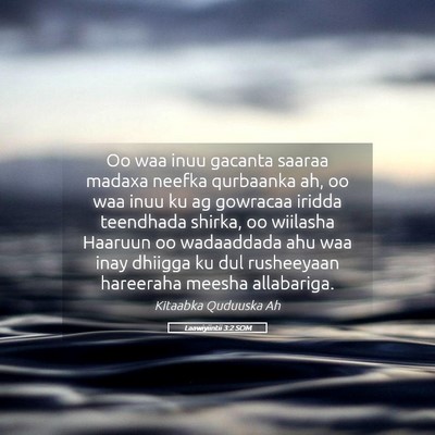 Picture 05 - Laawiyiintii 3:2 SOM - Oo waa inuu gacanta saaraa madaxa neefka - Bible Verse Picture
