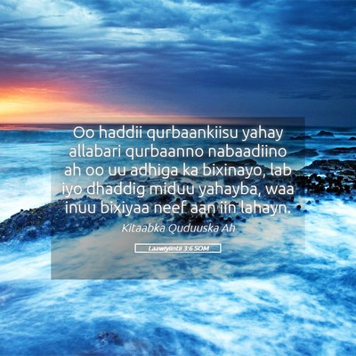 Picture 05 - Laawiyiintii 3:6 SOM - Oo haddii qurbaankiisu yahay allabari qurbaanno - Bible Verse Picture