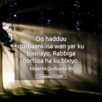 Picture 05 - Laawiyiintii 3:7 SOM - Oo hadduu qurbaankiisa wan yar ku bixinayo, - Bible Verse Picture