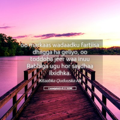 Picture 05 - Laawiyiintii 4:17 SOM - oo markaas wadaadku fartiisa dhiigga ha geliyo, - Bible Verse Picture