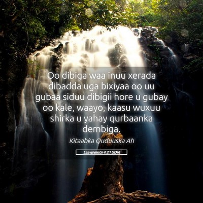Picture 05 - Laawiyiintii 4:21 SOM - Oo dibiga waa inuu xerada dibadda uga bixiyaa oo - Bible Verse Picture
