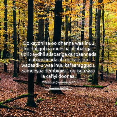 Picture 05 - Laawiyiintii 4:26 SOM - Oo xaydhiisa oo dhanna waa inuu ku dul gubaa - Bible Verse Picture