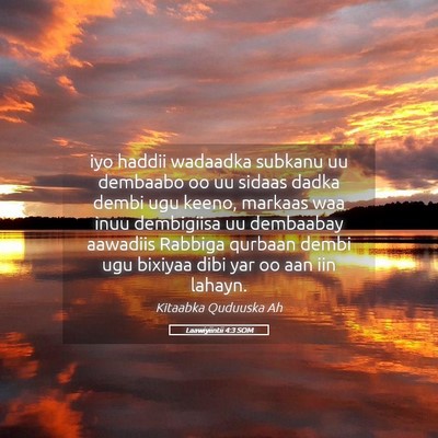 Picture 05 - Laawiyiintii 4:3 SOM - iyo haddii wadaadka subkanu uu dembaabo oo uu - Bible Verse Picture