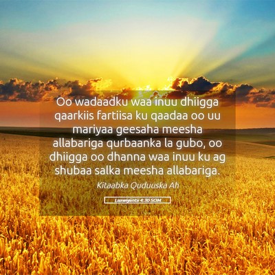 Picture 05 - Laawiyiintii 4:30 SOM - Oo wadaadku waa inuu dhiigga qaarkiis fartiisa ku - Bible Verse Picture