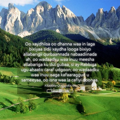 Picture 05 - Laawiyiintii 4:31 SOM - Oo xaydhiisa oo dhanna waa in laga bixiyaa sidii - Bible Verse Picture
