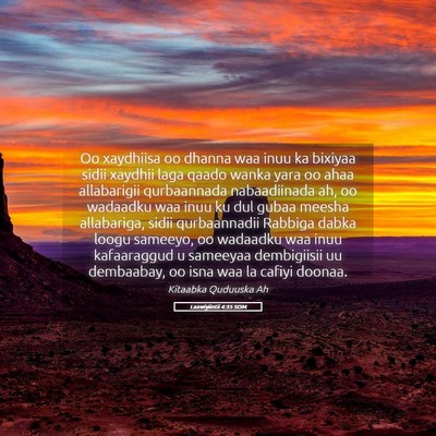 Picture 05 - Laawiyiintii 4:35 SOM - Oo xaydhiisa oo dhanna waa inuu ka bixiyaa sidii - Bible Verse Picture
