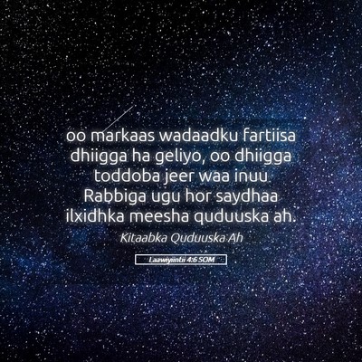 Picture 05 - Laawiyiintii 4:6 SOM - oo markaas wadaadku fartiisa dhiigga ha geliyo, - Bible Verse Picture