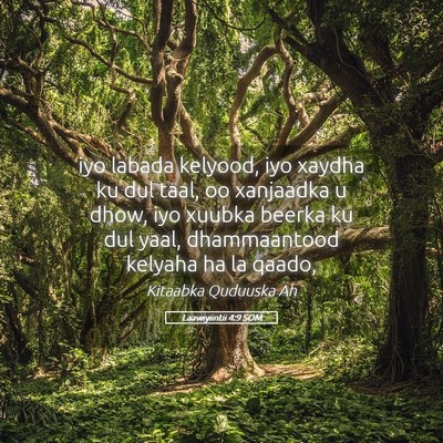 Picture 05 - Laawiyiintii 4:9 SOM - iyo labada kelyood, iyo xaydha ku dul taal, oo - Bible Verse Picture