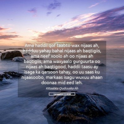 Picture 05 - Laawiyiintii 5:2 SOM - Ama haddii qof taabto wax nijaas ah, hadduu yahay - Bible Verse Picture