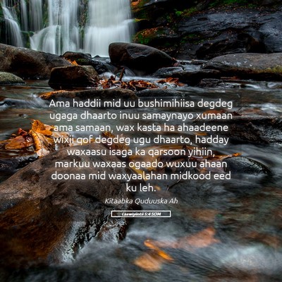 Picture 05 - Laawiyiintii 5:4 SOM - Ama haddii mid uu bushimihiisa degdeg ugaga - Bible Verse Picture