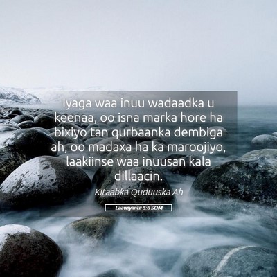 Picture 05 - Laawiyiintii 5:8 SOM - Iyaga waa inuu wadaadka u keenaa, oo isna marka - Bible Verse Picture