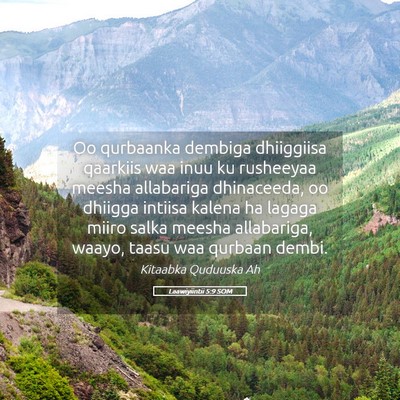 Picture 05 - Laawiyiintii 5:9 SOM - Oo qurbaanka dembiga dhiiggiisa qaarkiis waa inuu - Bible Verse Picture