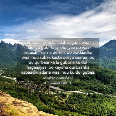 Picture 05 - Laawiyiintii 6:12 SOM - Oo dabka meesha allabarigana waa in had iyo goor - Bible Verse Picture