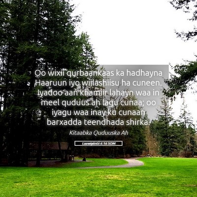 Picture 05 - Laawiyiintii 6:16 SOM - Oo wixii qurbaankaas ka hadhayna Haaruun iyo - Bible Verse Picture