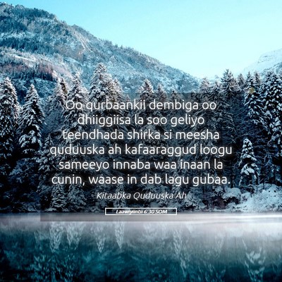 Picture 05 - Laawiyiintii 6:30 SOM - Oo qurbaankii dembiga oo dhiiggiisa la soo geliyo - Bible Verse Picture