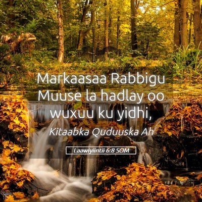 Picture 05 - Laawiyiintii 6:8 SOM - Markaasaa Rabbigu Muuse la hadlay oo wuxuu ku - Bible Verse Picture