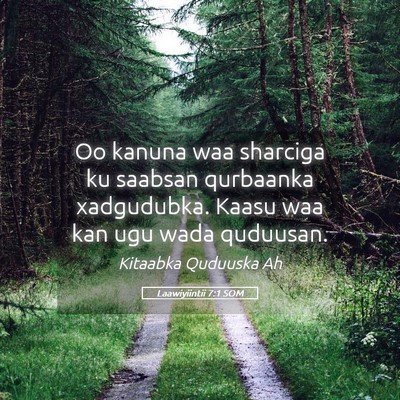 Picture 05 - Laawiyiintii 7:1 SOM - Oo kanuna waa sharciga ku saabsan qurbaanka - Bible Verse Picture
