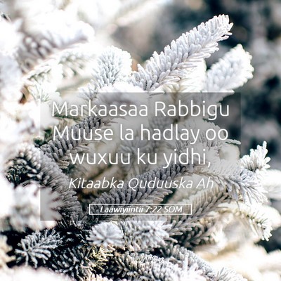 Picture 05 - Laawiyiintii 7:22 SOM - Markaasaa Rabbigu Muuse la hadlay oo wuxuu ku - Bible Verse Picture