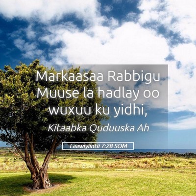 Picture 05 - Laawiyiintii 7:28 SOM - Markaasaa Rabbigu Muuse la hadlay oo wuxuu ku - Bible Verse Picture