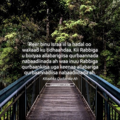 Picture 05 - Laawiyiintii 7:29 SOM - Reer binu Israa'iil la hadal oo waxaad ku - Bible Verse Picture