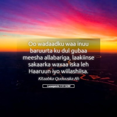 Picture 05 - Laawiyiintii 7:31 SOM - Oo wadaadku waa inuu baruurta ku dul gubaa meesha - Bible Verse Picture