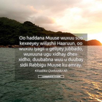 Picture 05 - Laawiyiintii 8:13 SOM - Oo haddana Muuse wuxuu soo kexeeyey wiilashii - Bible Verse Picture