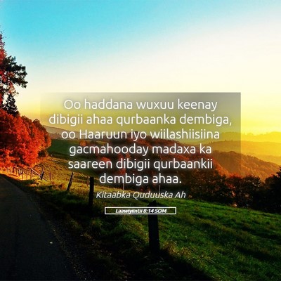 Picture 05 - Laawiyiintii 8:14 SOM - Oo haddana wuxuu keenay dibigii ahaa qurbaanka - Bible Verse Picture