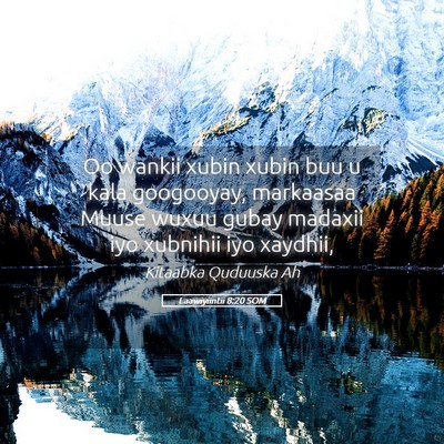 Picture 05 - Laawiyiintii 8:20 SOM - Oo wankii xubin xubin buu u kala googooyay, - Bible Verse Picture