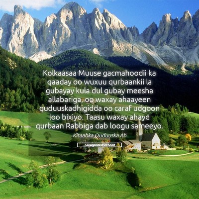 Picture 05 - Laawiyiintii 8:28 SOM - Kolkaasaa Muuse gacmahoodii ka qaaday oo wuxuu - Bible Verse Picture