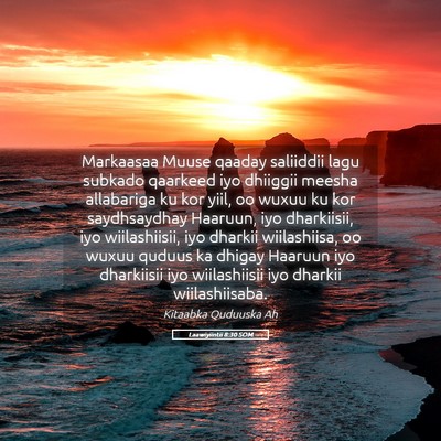 Picture 05 - Laawiyiintii 8:30 SOM - Markaasaa Muuse qaaday saliiddii lagu subkado - Bible Verse Picture
