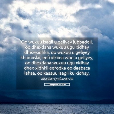 Picture 05 - Laawiyiintii 8:7 SOM - Oo wuxuu isagii u geliyey jubbaddii, oo dhexdana - Bible Verse Picture
